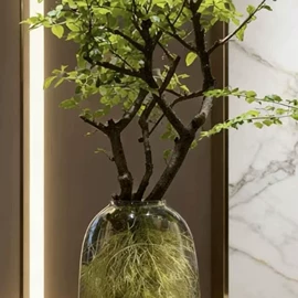 盆栽;干花;其他园林植物