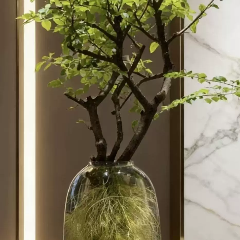 【网红小叶女贞】鲜枝鲜切水培绿植摆件室内四季懒人好养绿植茶室