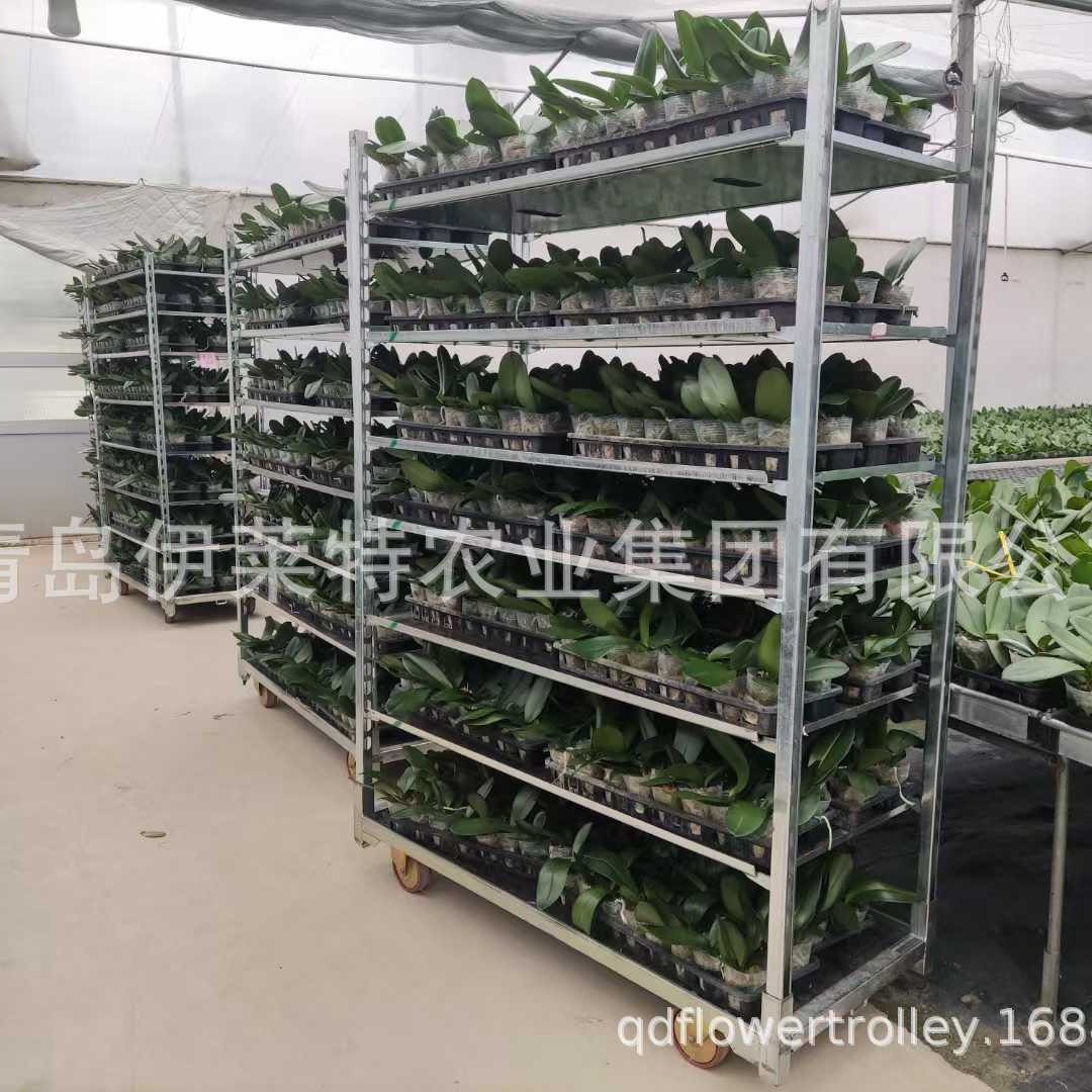 厂家直销家庭阳台蔬菜种植架子，花卉台车，可移动可拆卸