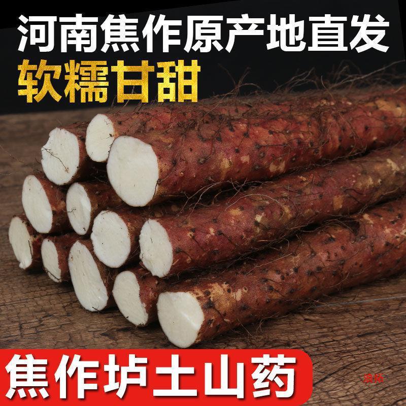 温県土鉄棒山芋、河南焦作淮山芋、滋養強壮、鉄山芋、新鮮な粉末もち米|undefined