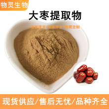大枣提取物粉10:1 红枣提取物粉水溶性原料级药食同源 大枣粉