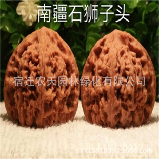 �޽��T��������Ҙ��簫���{���^����������Ա��Ϸ��Nֲ����Y��