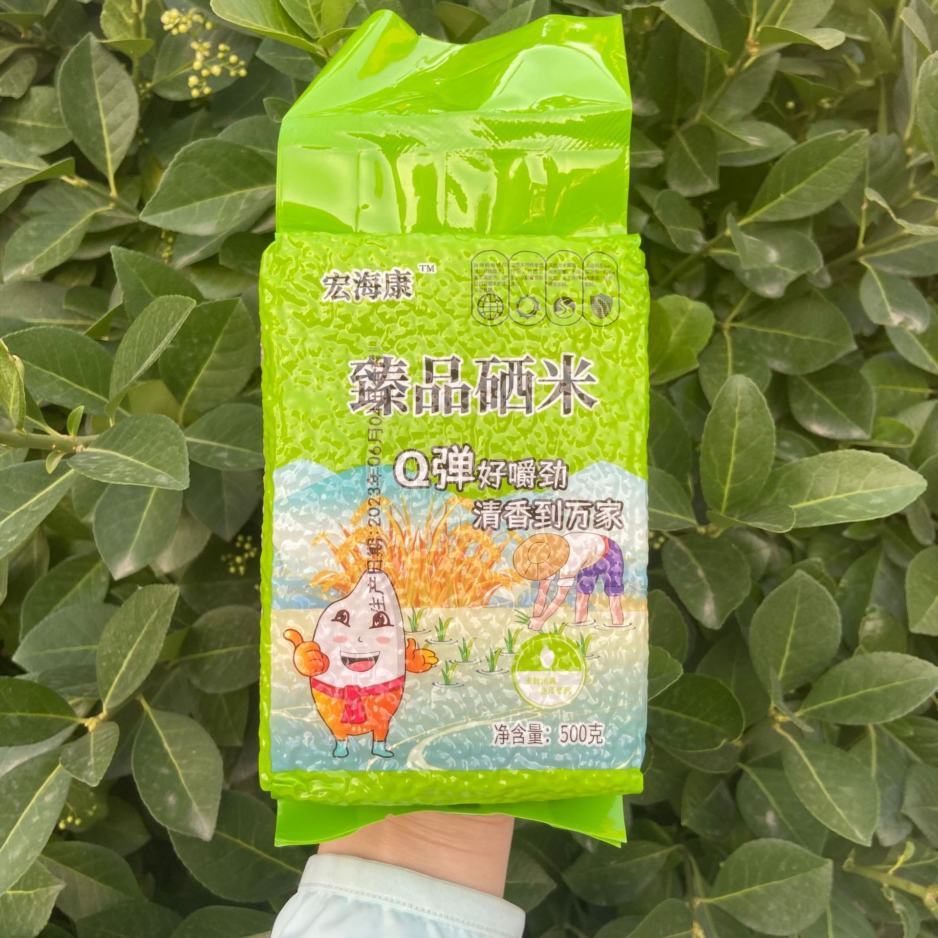 微信图片_20230626214306