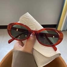 �W�t�n�沩��ͬ��ī�R�u����СĘ̫��R�߼��в�ɫ�����⾀���R