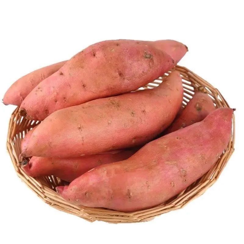 紅薯新鮮沙地蜜薯軟糯香甜地瓜番薯黃紅心山芋紅苕2-10斤廠家批發