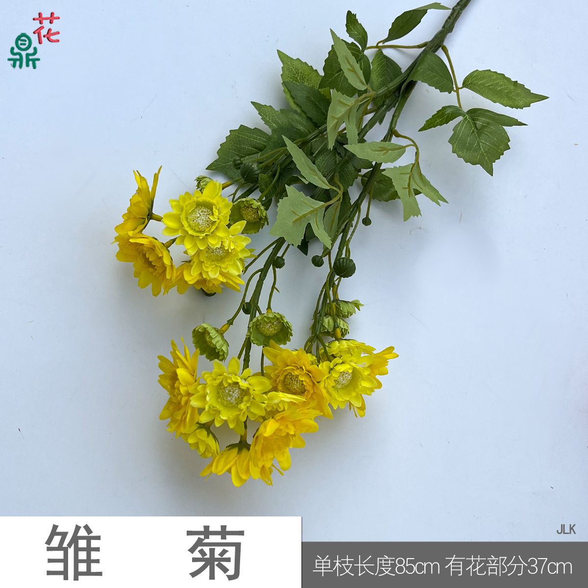 Hoa cúc JLK màu vàng