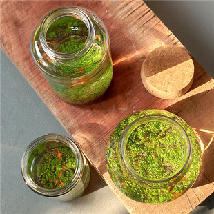Micro-Landscape Ecological Bottle Creative Mini Glass Bottle Fish Tank Office Green Plant Water Grass Seed Germination Record