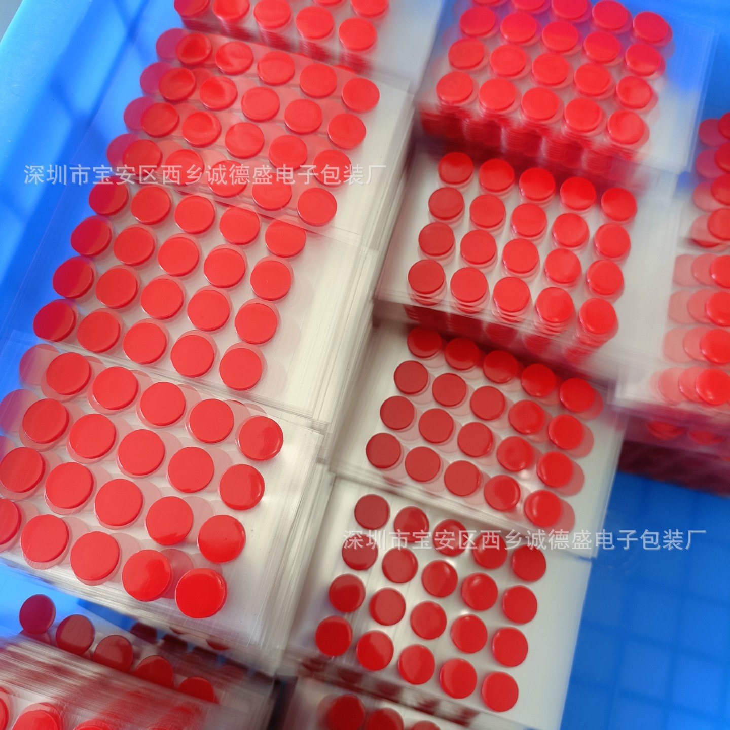 IMG20211108134007(1)(1)