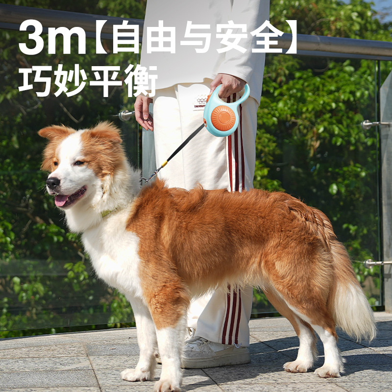 Perro fuera de rueda caliente para mascotas automáticamente retráctiles cuerda de tracción para gatos al aire libre cuerda de paseo para perros cuerda de paseo para gatos cadena de perros