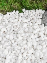 ģ�M�Gɫֲ���쾰�o�ϻ����Zůʯ���ʯ��bͥԺ���^̦�\�ݲ����b