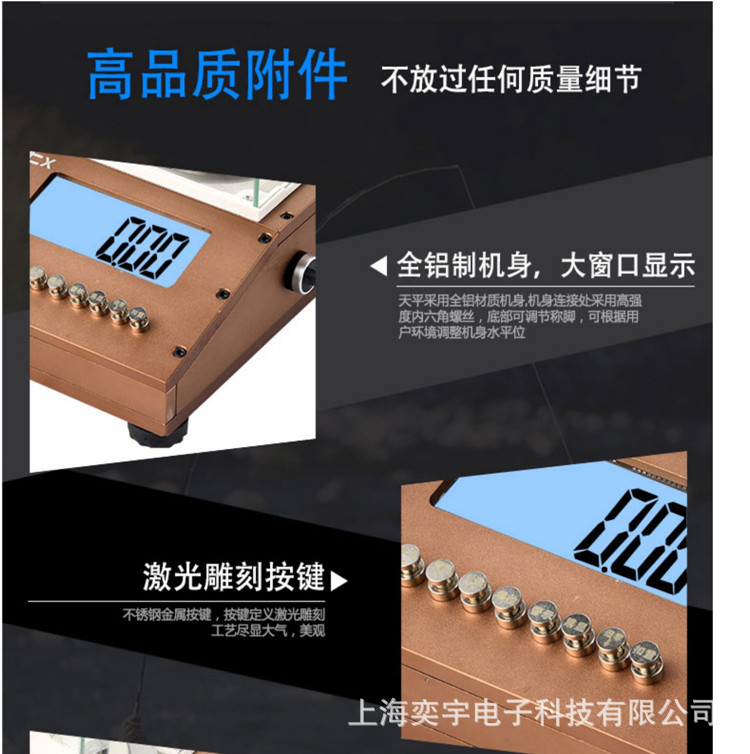 防爆电子秤