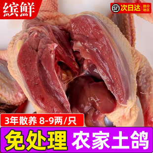 �������r�F���r���������r��ɢ�B��������Ҝ��������r�����Ӵ�̖