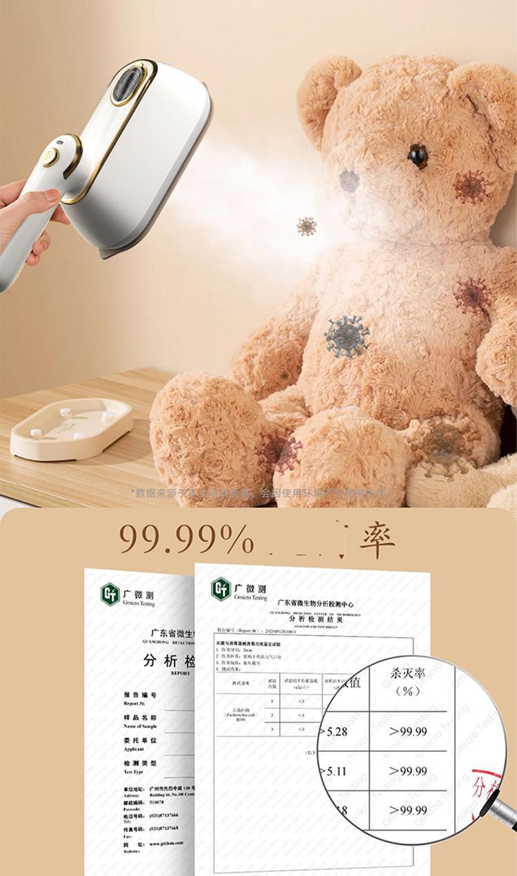 Zhigao handheld steamer, ceramic plate, high power