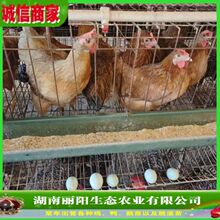 �S����G�����u����w���l������ֱ�u�\ݔ���ɻ����M�ṩ�Bֳ���g