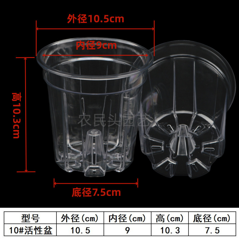 空気柱付きPC高透明活性ポット、熱植えデンドロビウム多肉植物、側穴付き根制御ポット、プラスチック胡蝶蘭ポット|undefined