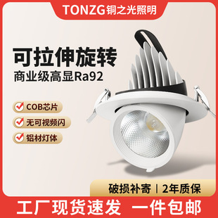 COB Elephant Nasal Light Led Wash Wall Spotlight Embedded Household Living Room Adjustable Angle Downlight Commercial Shop