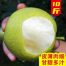 �������rˮ��10���Fժ�������������O����Xɽ��5��ʹ���