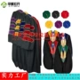 美国常规gowngraduation博士服