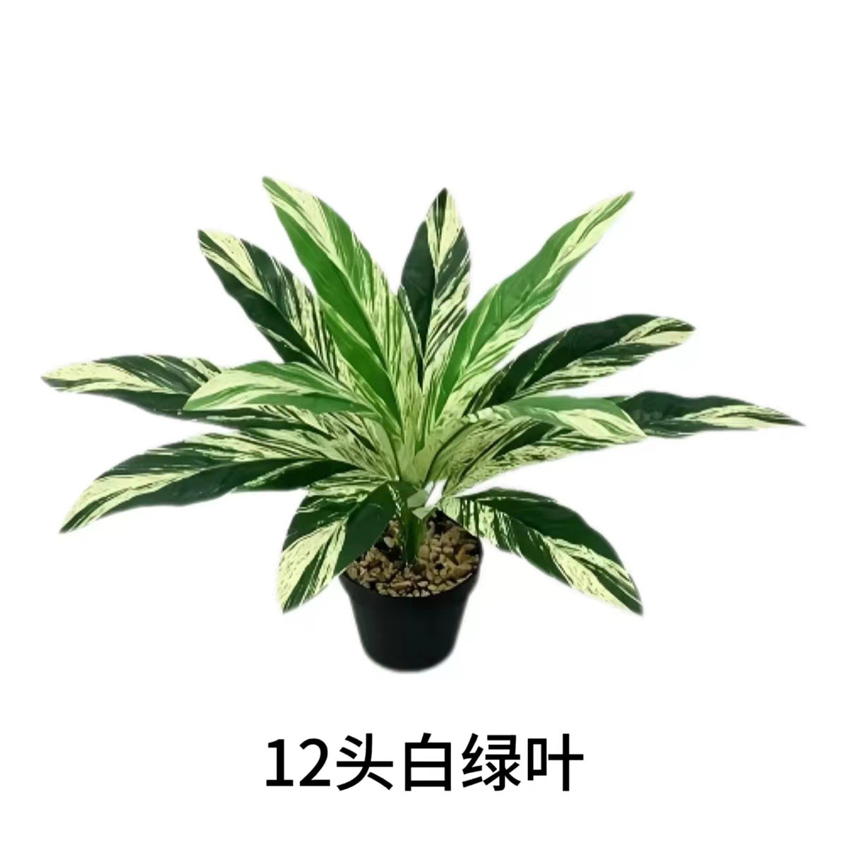 흰색과 녹색 잎 12개(화분은 포함되지 않음)
