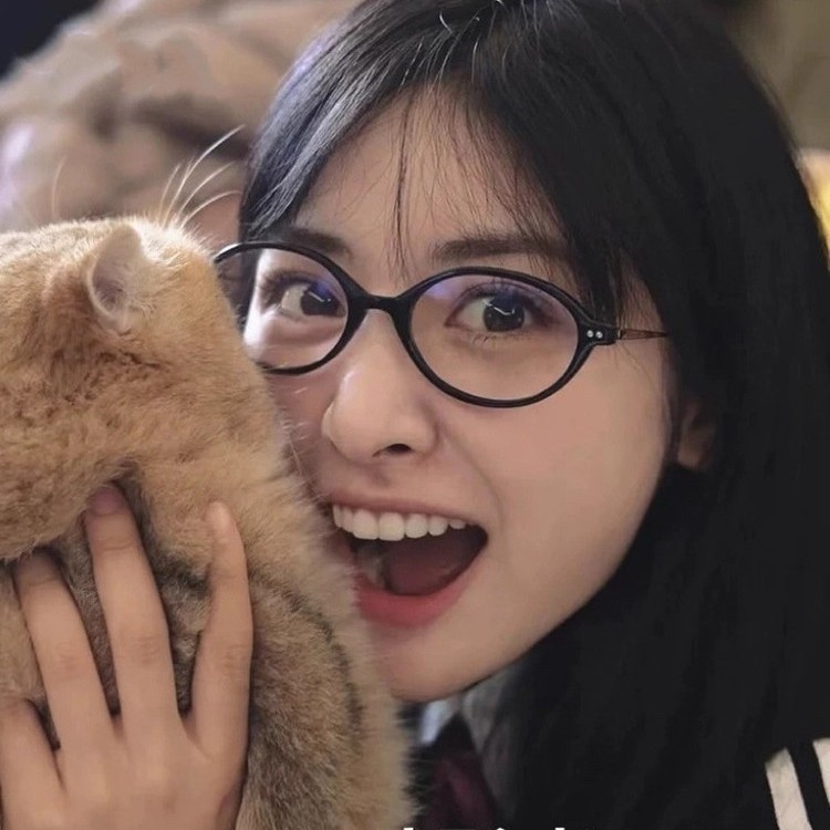玳瑁书呆子椭圆框眼镜女复古老钱风近视可配度数超轻韩系眼睛镜框|undefined