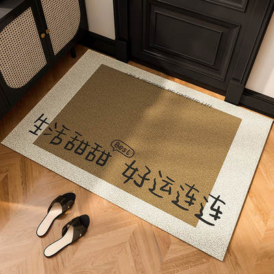 Entrance door mat door wire ring non-slip foot mat door door door stain-resistant door mat home indoor entrance carpet