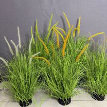 ���湷β�Ͳ�ֲ���辰�҃ș�������b����ԏS�����l�����JȔ