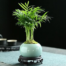 ���主�F��Ҭ�������k���������҃ȾGֲ�Pβ���ļ����������Bֲ��