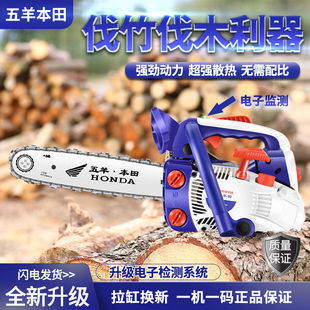 Imported Gasoline Saw Small Household Single Portable Tree Cutting Machine Imported Lightweight 12-inch Phyllostapa Saw Small Chain Saw