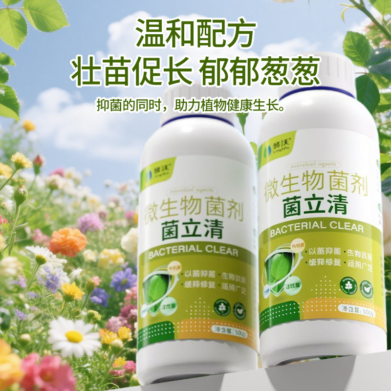 領沃菌立清微生物菌剤野菜葉面肥料栄養液インゲン豆トマト花植物トマト|undefined