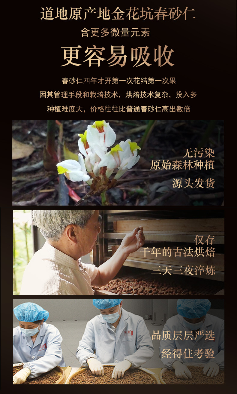 Chun Sha Ren Amomum Fruit 42g Yangchun Panlong Jinhua Keng Dao Di Sha Ren Traditional Herbal Gift key features