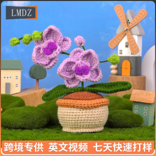 �羳��Ʒ�ֹ�ë���h����ɫ��������m�����hᘲ��ϰ� Ӣ���f����