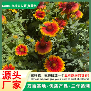 ���l�ݻ��N���˾շN�ͺ�ͥԺ�������^�������Ի��N���ѻ��ܷN��