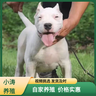 ���۰���͢�Ÿ�Ȯ���N��Ȯ���w�������CȮ���̴�����Ȯ����Ȯ����