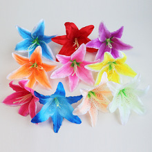 ����ٺϻ�18CM���^ ����С���m�ٺϻ�DIY�廨�ٻ��������^���