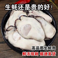 新鲜生蚝肉现剥速冻特大海蛎子肉鲜活海鲜冷冻去壳乳山生蚝牡蛎肉