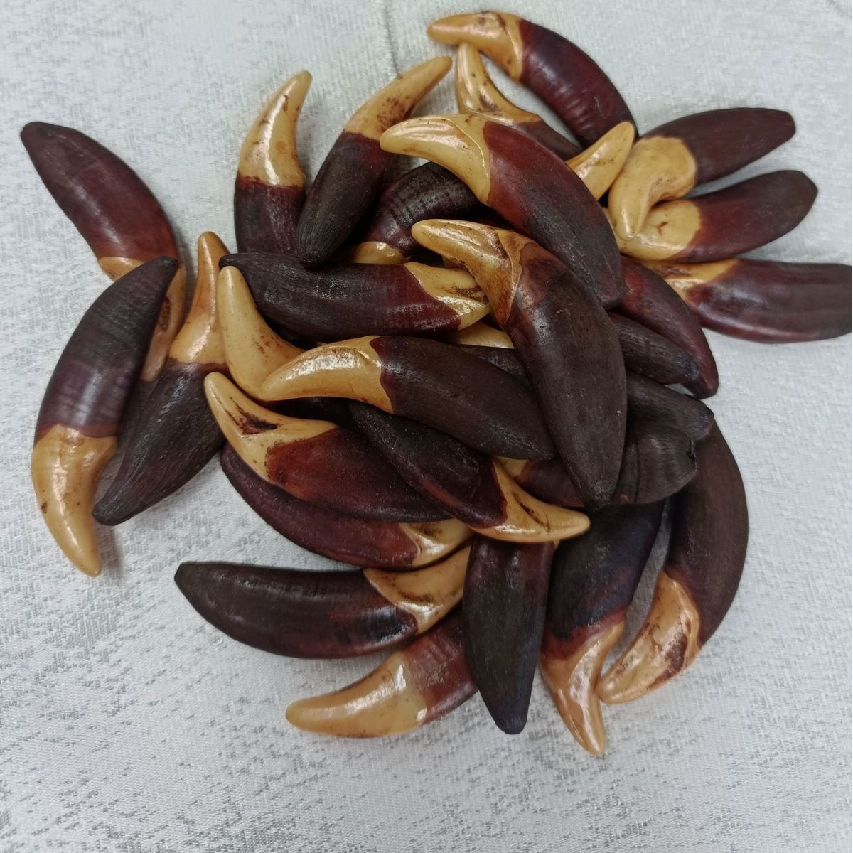진짜 개 이빨 장신구, 늑대 이빨 펜던트, 빈티지 검은 개 이빨, 표백된 티베트 마스티프 이빨, 도매 목걸이, 팔찌, 노점상 공급품