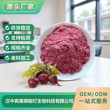 现货供应甜菜根粉 脱水粉 固体饮料原料 品质保障 现货批发