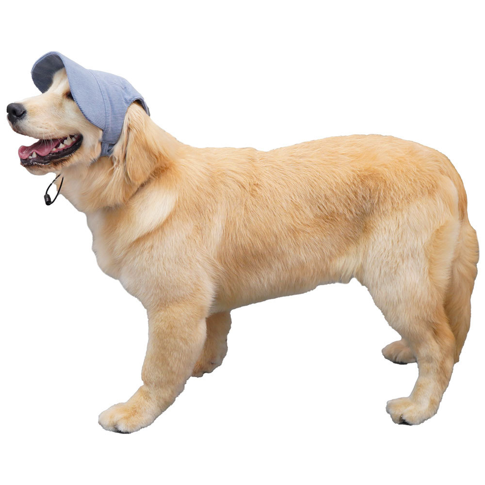 Pats