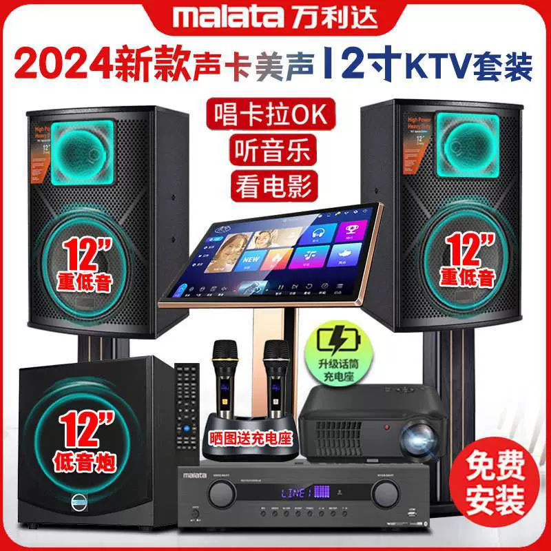 2024 Новый профессиональный домашний KTV аудио набор Полный комплект Домашний караоке Караоке колонки Театр Оптом