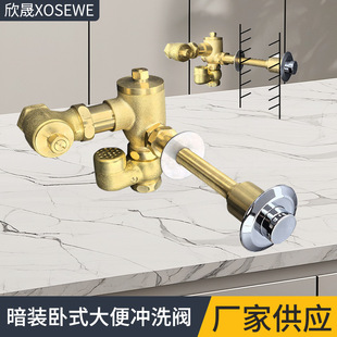 Foreign trade thick wall concealed horizontal stool flush valve brass body hand-pressed buried wall for prison ship flush valve