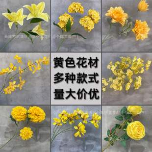 �Sɫϵ���滨��Y�ò廨�Sɫ�����¿��c�������ŷ��滨����