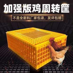 ��c���滨��ɫ���ɫ�ٻ��ђ컨·��������Y�[�O���È�����ˇ