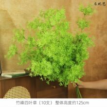 �Gɫϵ��c���������þGֲǧ�ӽ��J����ɭϵ��E18