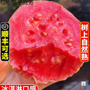 �V��ܛŴ�t�İŘ�5�����rˮ����ʯ�����ܛŴ��֬�t�͘�������]3