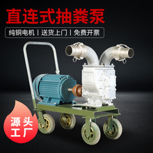 3寸抽粪泵养殖场化粪池吸猪粪泵家用304不锈钢无堵塞污水泥浆水泵