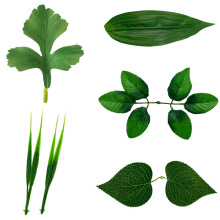 �����~�ӏS�����lDIY���滨��������~ˮ���~���~õ���~�b��~��