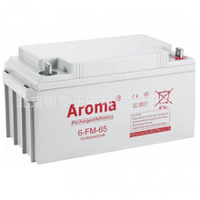 華龍AROMA鉛酸蓄電池6-FM-65  12V65AH/20hr UPS/EPS電源配套