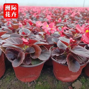 �ļ����ı���  ���Ļ��G����ľ  �ļ�����Ѩ�P�����l   ���̾G��