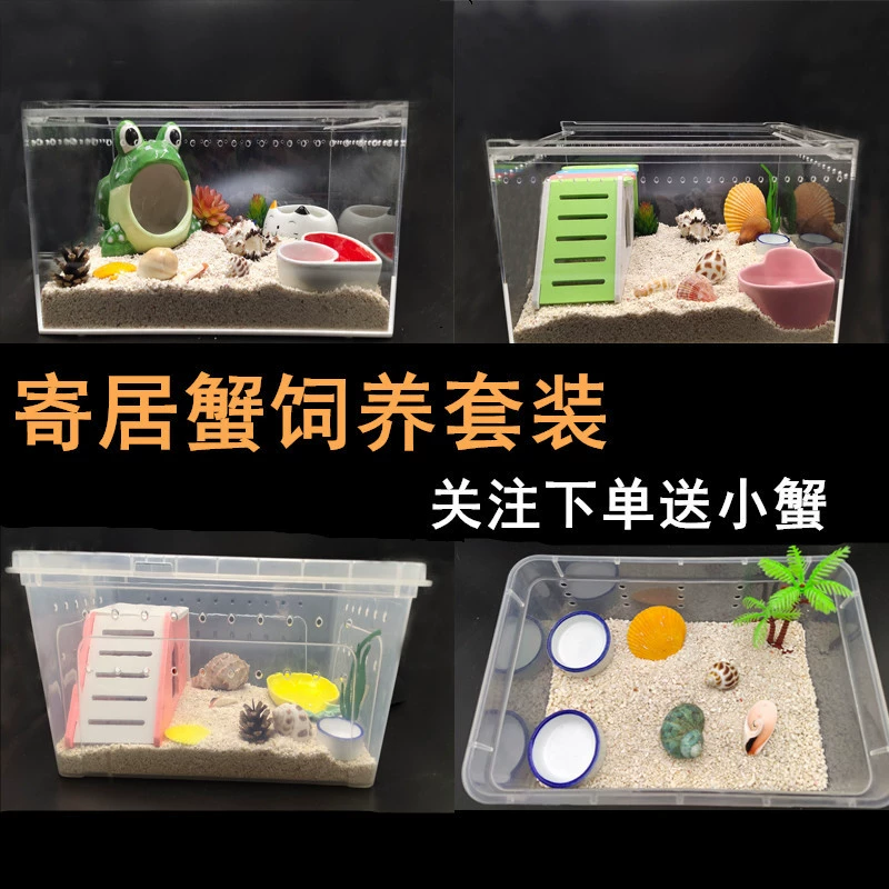 Коробка для разведения крабов-отшельников, набор для ленивых крабов, корм, комплект для начинающих, укрытие, домик, ландшафтный дизайн