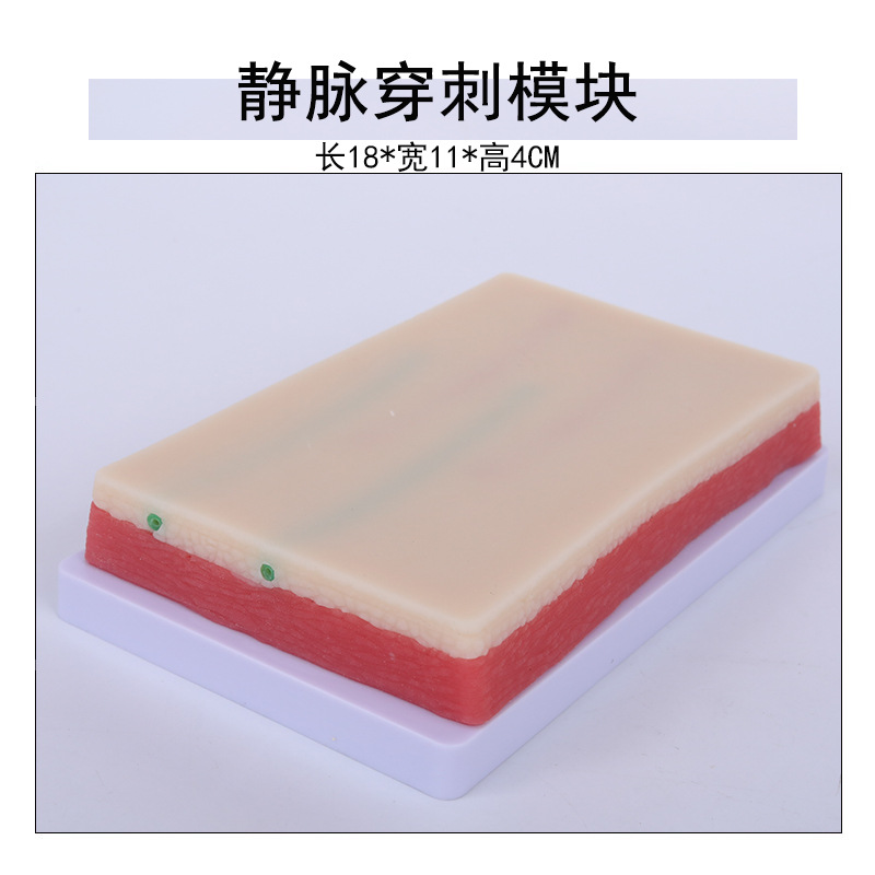 ����Ƥ�������ϰģ�� �轺Ƥ�� ע����ѵ��ҽѧ�����ϰ����